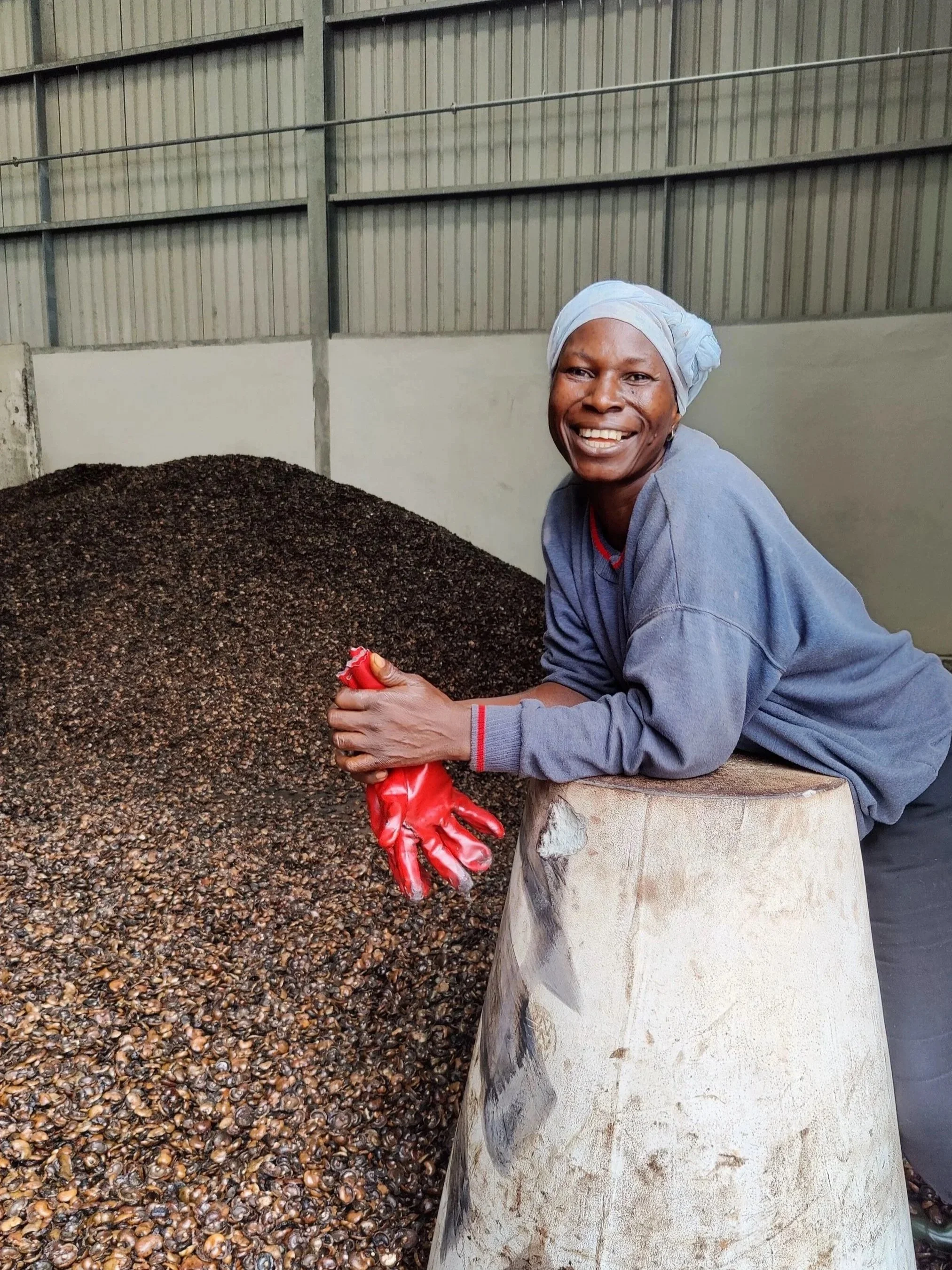 Cashew nuts and shells — raw biomass material